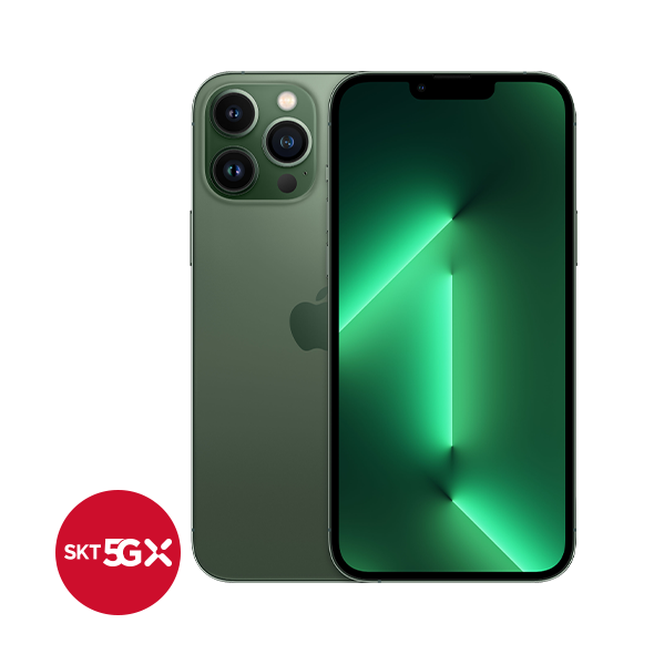 iPhone 13 Pro 256G